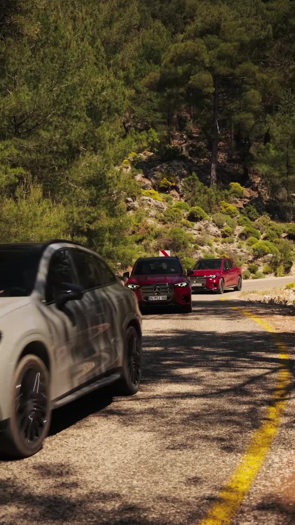 The cars on a pine-lined road near Faralya